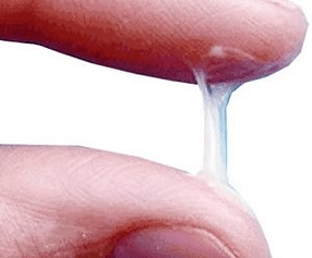 Come appaiono normalmente le secrezioni di un uomo