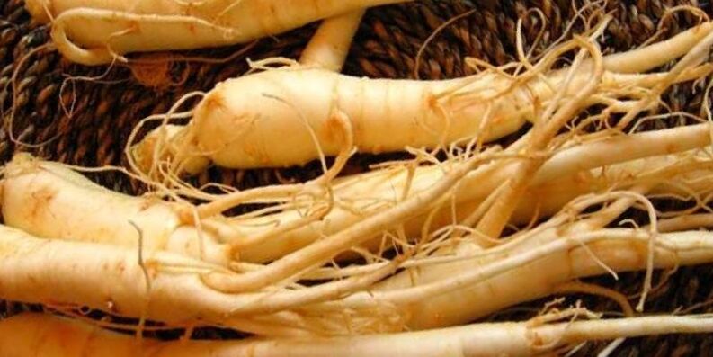 Radice di ginseng per aumentare la potenza